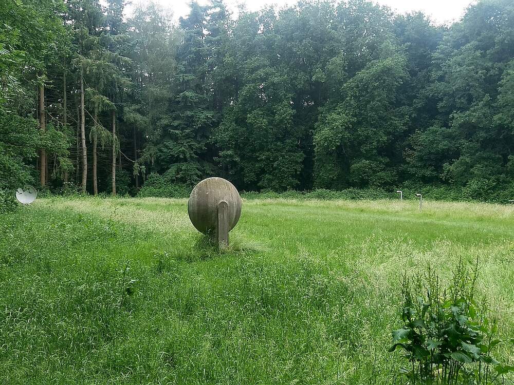 Grasveld aan een bosrand met een ronde akoestische spiegel om geluid mee door te geven